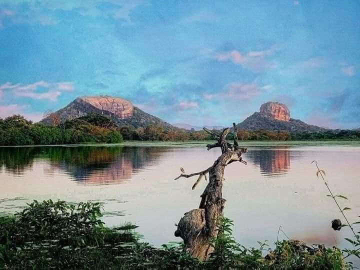 Sigiri Wild Lake Dambulla Exteriör bild